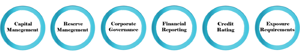 Standarts which banking regulators control